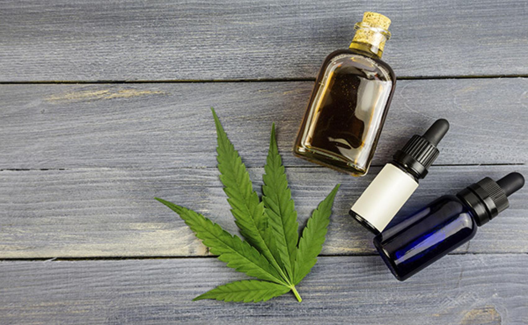 Exploring Elevated Heights: SeattleMet’s Feature Invites You to Dive into the THC Experience