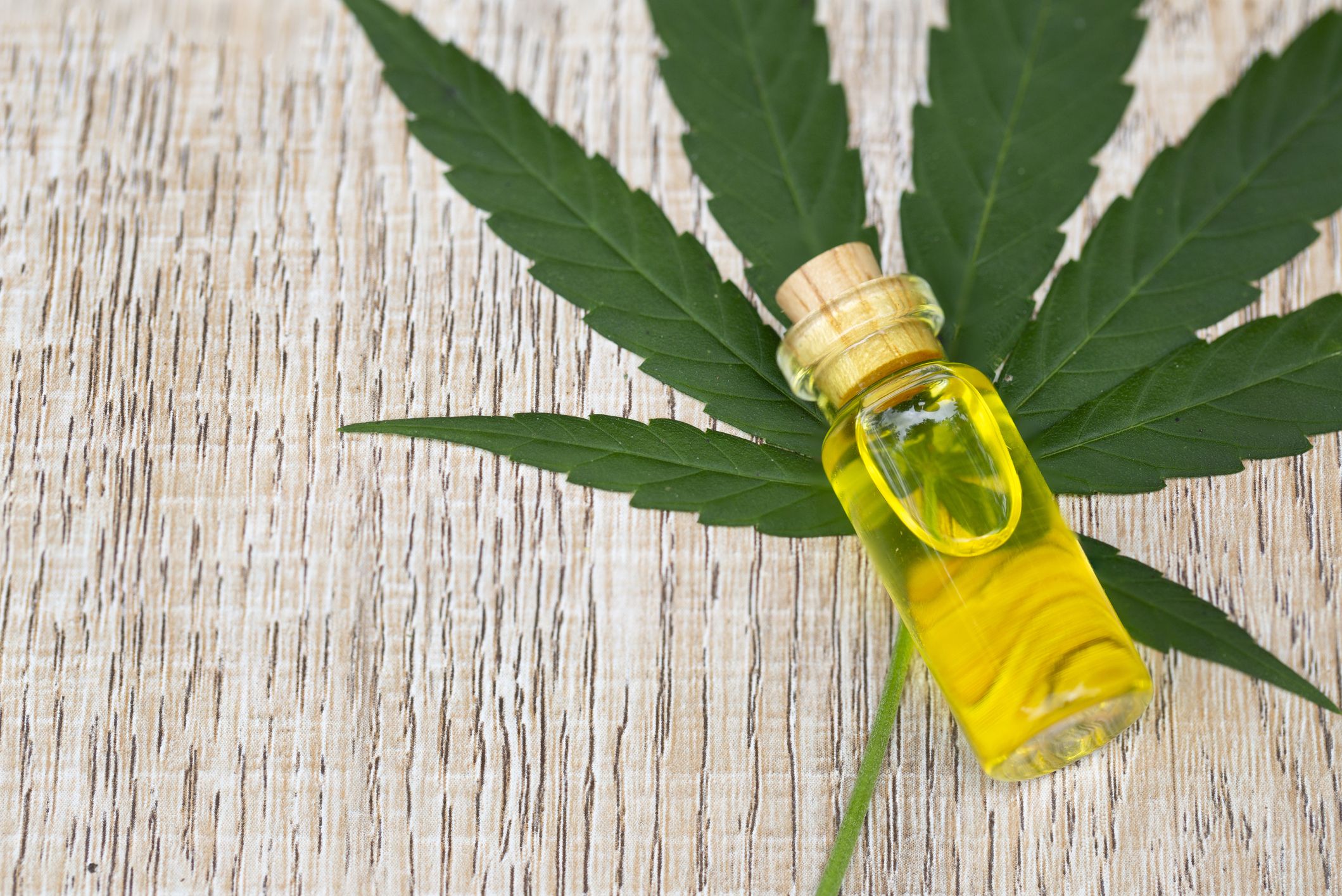 Discovering the Healing Potential of CBD Oil: A Solution for Pain Sufferers